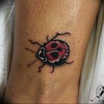 photo ladybug tattoo 17.04.2019 №244 - idea for ladybug tattoo - tattoovalue.net