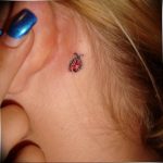 photo ladybug tattoo 17.04.2019 №252 - idea for ladybug tattoo - tattoovalue.net