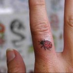 photo ladybug tattoo 17.04.2019 №258 - idea for ladybug tattoo - tattoovalue.net