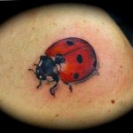 photo ladybug tattoo 17.04.2019 №260 - idea for ladybug tattoo - tattoovalue.net