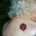 photo ladybug tattoo 17.04.2019 №262 - idea for ladybug tattoo - tattoovalue.net