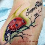 photo ladybug tattoo 17.04.2019 №264 - idea for ladybug tattoo - tattoovalue.net