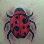 photo ladybug tattoo 17.04.2019 №267 - idea for ladybug tattoo - tattoovalue.net