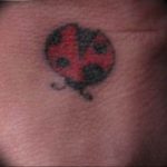 photo ladybug tattoo 17.04.2019 №268 - idea for ladybug tattoo - tattoovalue.net