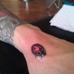 photo ladybug tattoo 17.04.2019 №269 - idea for ladybug tattoo - tattoovalue.net