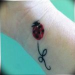 photo ladybug tattoo 17.04.2019 №276 - idea for ladybug tattoo - tattoovalue.net