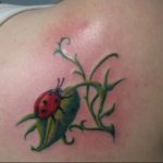 photo ladybug tattoo 17.04.2019 №277 - idea for ladybug tattoo - tattoovalue.net