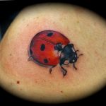 photo ladybug tattoo 17.04.2019 №278 - idea for ladybug tattoo - tattoovalue.net