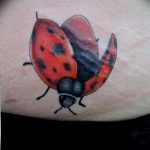 photo ladybug tattoo 17.04.2019 №279 - idea for ladybug tattoo - tattoovalue.net