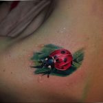 photo ladybug tattoo 17.04.2019 №281 - idea for ladybug tattoo - tattoovalue.net