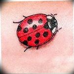 photo ladybug tattoo 17.04.2019 №285 - idea for ladybug tattoo - tattoovalue.net