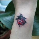 photo ladybug tattoo 17.04.2019 №287 - idea for ladybug tattoo - tattoovalue.net