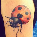 photo ladybug tattoo 17.04.2019 №294 - idea for ladybug tattoo - tattoovalue.net