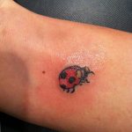 photo ladybug tattoo 17.04.2019 №295 - idea for ladybug tattoo - tattoovalue.net