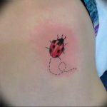 photo ladybug tattoo 17.04.2019 №303 - idea for ladybug tattoo - tattoovalue.net