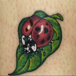 photo ladybug tattoo 17.04.2019 №307 - idea for ladybug tattoo - tattoovalue.net