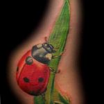 photo ladybug tattoo 17.04.2019 №309 - idea for ladybug tattoo - tattoovalue.net