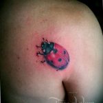 photo ladybug tattoo 17.04.2019 №312 - idea for ladybug tattoo - tattoovalue.net