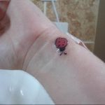 photo ladybug tattoo 17.04.2019 №313 - idea for ladybug tattoo - tattoovalue.net