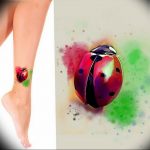photo ladybug tattoo 17.04.2019 №316 - idea for ladybug tattoo - tattoovalue.net