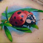 photo ladybug tattoo 17.04.2019 №318 - idea for ladybug tattoo - tattoovalue.net