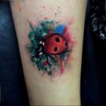 photo ladybug tattoo 17.04.2019 №321 - idea for ladybug tattoo - tattoovalue.net