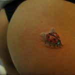 photo ladybug tattoo 17.04.2019 №322 - idea for ladybug tattoo - tattoovalue.net