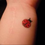 photo ladybug tattoo 17.04.2019 №326 - idea for ladybug tattoo - tattoovalue.net