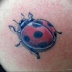 photo ladybug tattoo 17.04.2019 №327 - idea for ladybug tattoo - tattoovalue.net