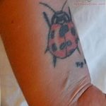 photo ladybug tattoo 17.04.2019 №328 - idea for ladybug tattoo - tattoovalue.net