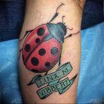 photo ladybug tattoo 17.04.2019 №329 - idea for ladybug tattoo - tattoovalue.net