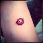 photo ladybug tattoo 17.04.2019 №331 - idea for ladybug tattoo - tattoovalue.net
