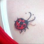 photo ladybug tattoo 17.04.2019 №335 - idea for ladybug tattoo - tattoovalue.net