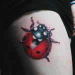 photo ladybug tattoo 17.04.2019 №338 - idea for ladybug tattoo - tattoovalue.net