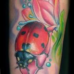photo ladybug tattoo 17.04.2019 №341 - idea for ladybug tattoo - tattoovalue.net
