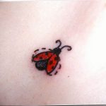 photo ladybug tattoo 17.04.2019 №342 - idea for ladybug tattoo - tattoovalue.net