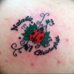 photo ladybug tattoo 17.04.2019 №343 - idea for ladybug tattoo - tattoovalue.net