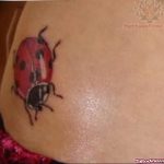 photo ladybug tattoo 17.04.2019 №344 - idea for ladybug tattoo - tattoovalue.net
