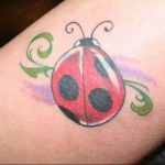 photo ladybug tattoo 17.04.2019 №346 - idea for ladybug tattoo - tattoovalue.net