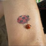 photo ladybug tattoo 17.04.2019 №351 - idea for ladybug tattoo - tattoovalue.net