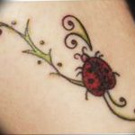 photo ladybug tattoo 17.04.2019 №352 - idea for ladybug tattoo - tattoovalue.net