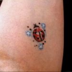 photo ladybug tattoo 17.04.2019 №353 - idea for ladybug tattoo - tattoovalue.net