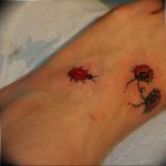 photo ladybug tattoo 17.04.2019 №363 - idea for ladybug tattoo - tattoovalue.net