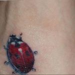 photo ladybug tattoo 17.04.2019 №365 - idea for ladybug tattoo - tattoovalue.net