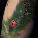 photo ladybug tattoo 17.04.2019 №366 - idea for ladybug tattoo - tattoovalue.net