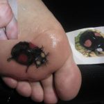 photo ladybug tattoo 17.04.2019 №372 - idea for ladybug tattoo - tattoovalue.net