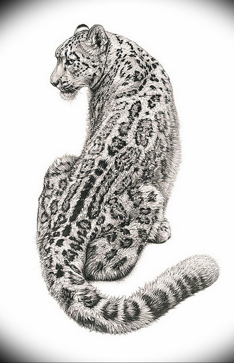 Beautiful and Attractive Leopard Tattoo Designs  Best Leopard Tattoo ideas   Tattoo for men  women  YouTube