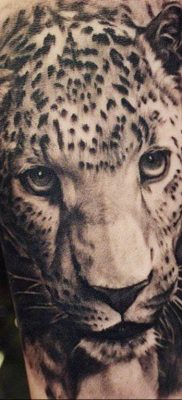 photo leopard tattoo 08.05.2019 №030 – snow leopard tattoo – tattoovalue.net