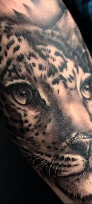 photo leopard tattoo 08.05.2019 №039 – snow leopard tattoo – tattoovalue.net