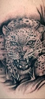 photo leopard tattoo 08.05.2019 №046 – snow leopard tattoo – tattoovalue.net